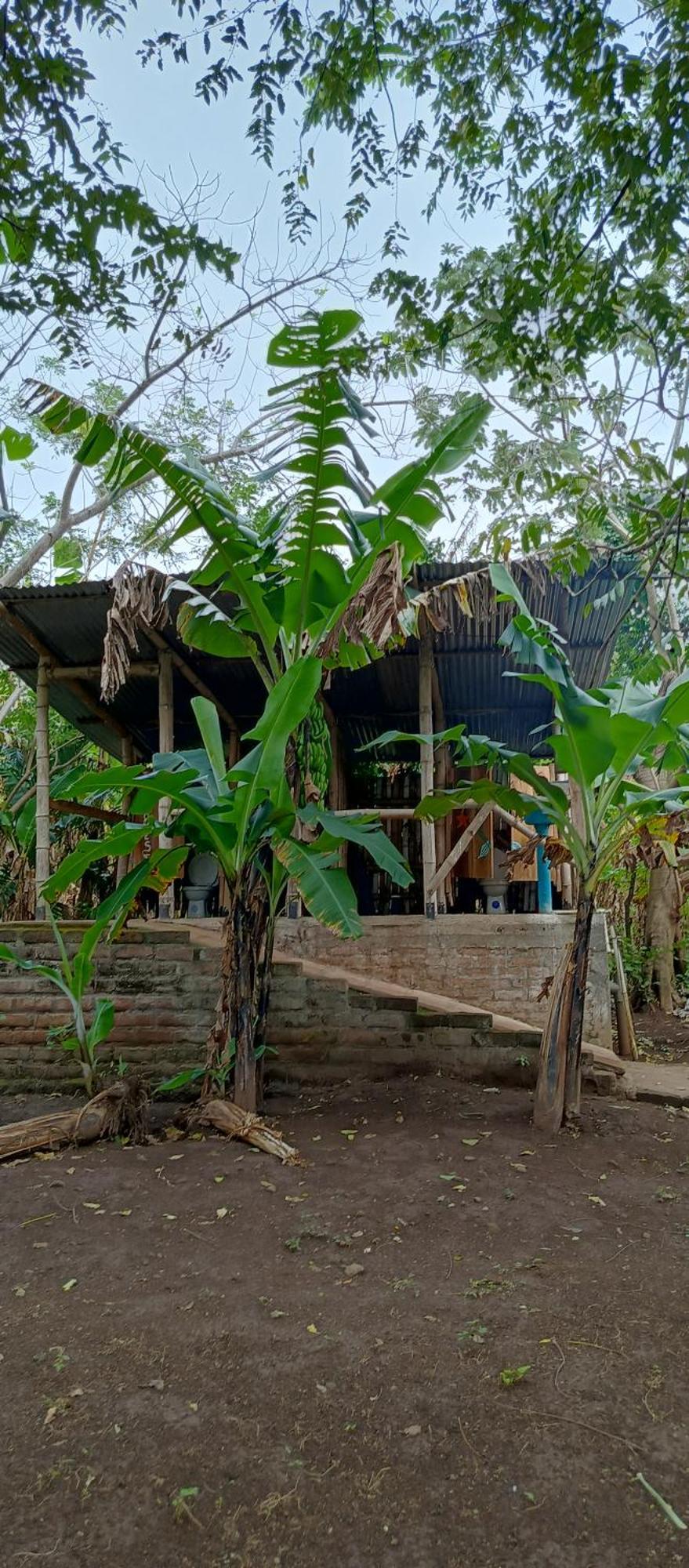 La Sirenita - Ometepe Hotel Altagracia Exterior foto